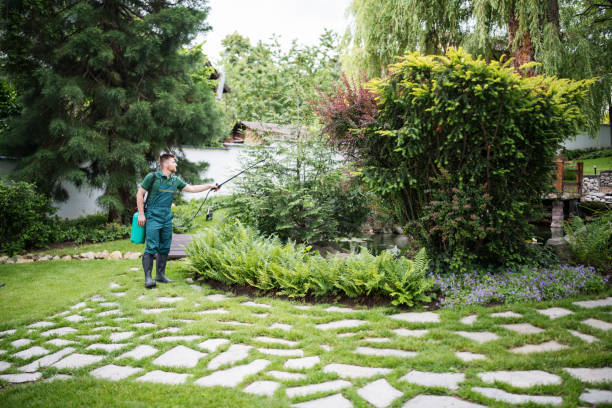 Best Pest Control Near Me  in Palos Park, IL