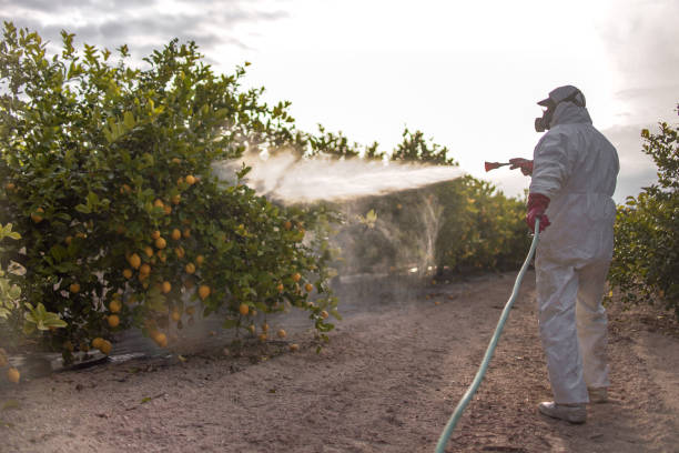 Best Bed Bug Extermination  in Palos Park, IL