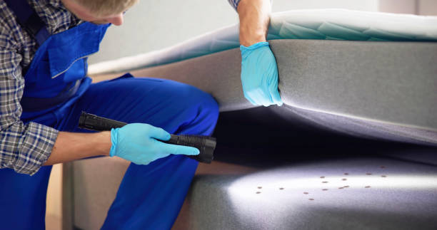 Best Cockroach Control Services  in Palos Park, IL