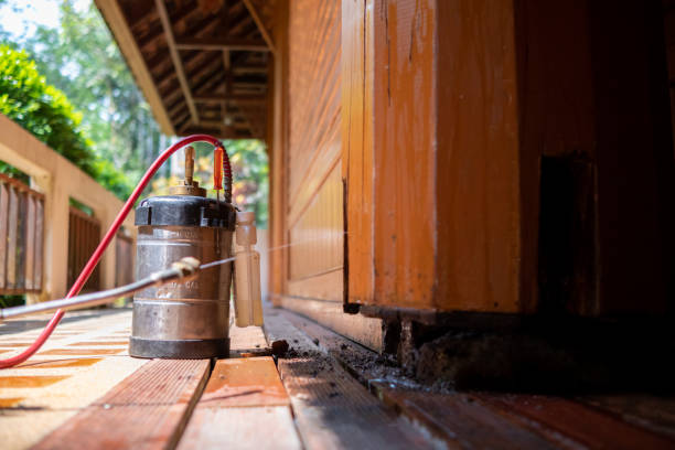 Best Pest Removal Services  in Palos Park, IL
