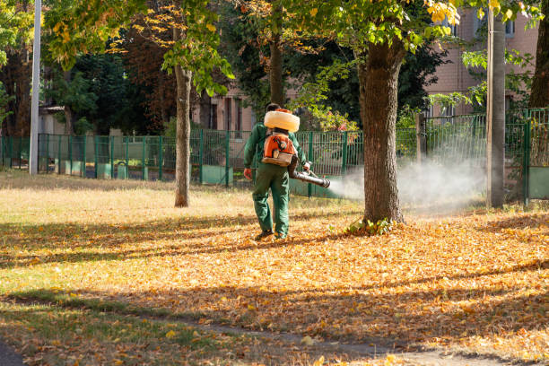 Best Affordable Pest Control Services  in Palos Park, IL