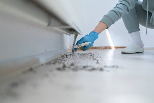Best Affordable Pest Control Services  in Palos Park, IL